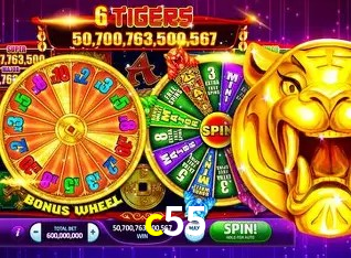 Experiência VIP c55