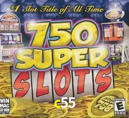 Security Systems c55